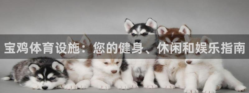 意昂3科技：宝鸡体育设施：您的健身、休闲和娱乐指南