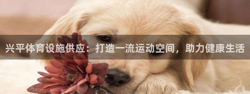 意昂体育3招商电话是多少啊：兴平体育设施供应：打造一