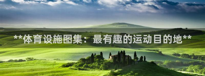 意昂3集团官网首页：**体育设施图集：最有趣的运动目的地**