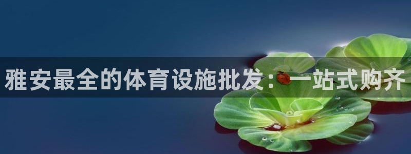 意昂3官方：雅安最全的体育设施批发：一站式购齐