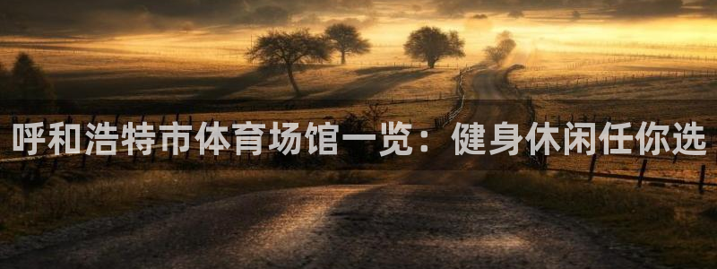 意昂体育3招商：呼和浩特市体育场馆一览：健身休闲任你选