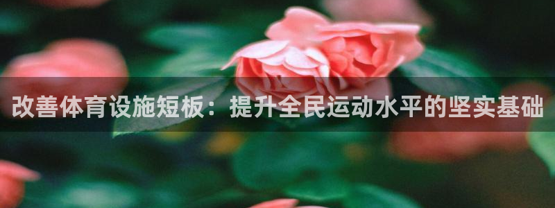 意昂3代理