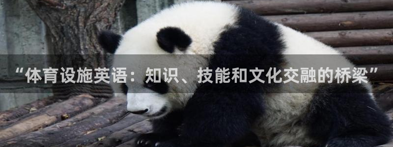 意昂3集团官网网址
