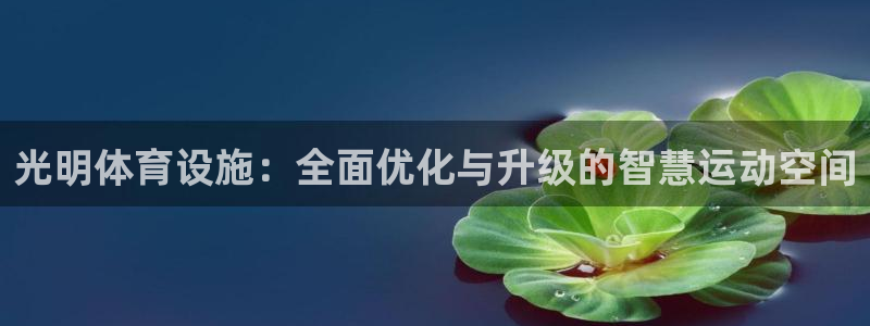 意昂体育3招商电话
