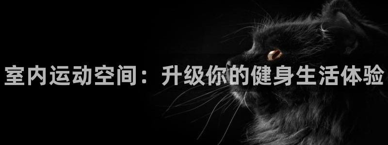 海南意昂体育3