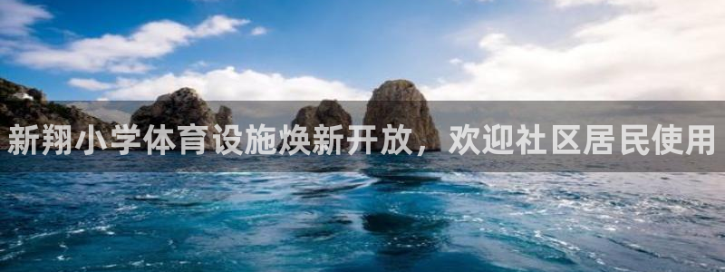 意昂体育3是干嘛的公司：新翔小学体育设施焕新开放，欢迎社区居