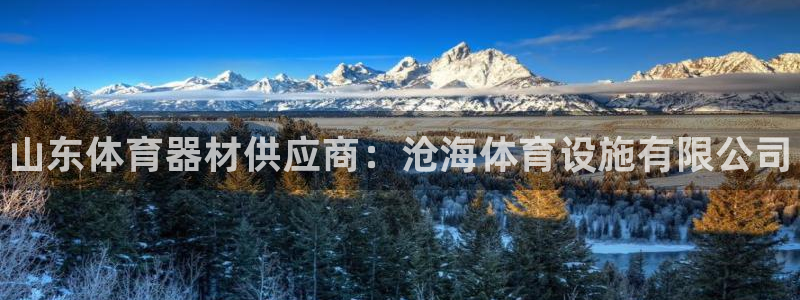 意昂体育3平台是正规平台吗知乎：山东体育器材供应商：