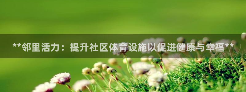 意昂体育3平台注册要钱吗：**邻里活力：提升社区体育设施以促
