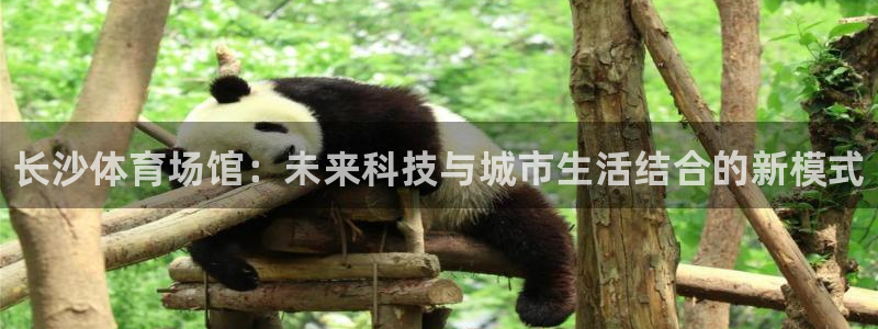 意昂3娱乐代理怎么样：长沙体育场馆：未来科技与城市生活结合的