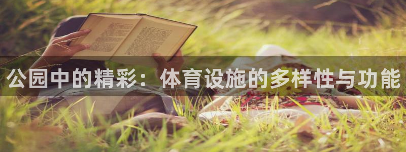 意昂体育3平台注册要钱吗安全吗：公园中的精彩：体育设施的多样