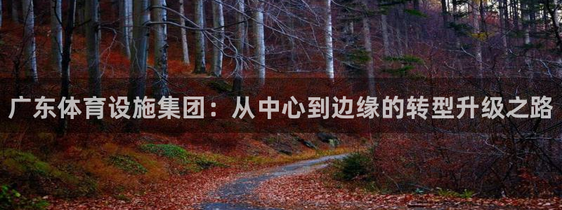 意昂3娱乐是那个系列的台子：广东体育设施集团：从中心到边缘的