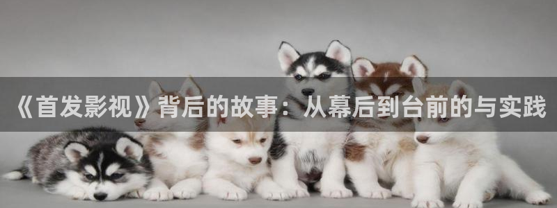五五影视：《首发影视》背后的故事：从幕后到台前的与实践