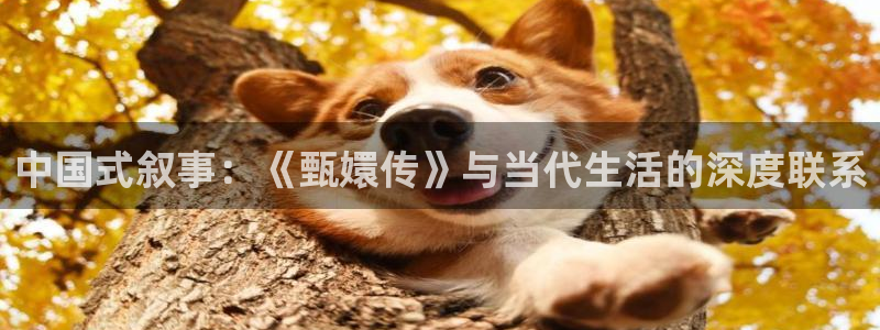 五五影视电视剧免费观看
