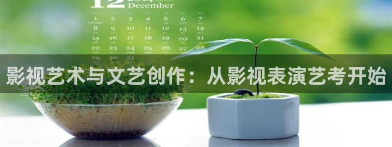 五五电影在线观看