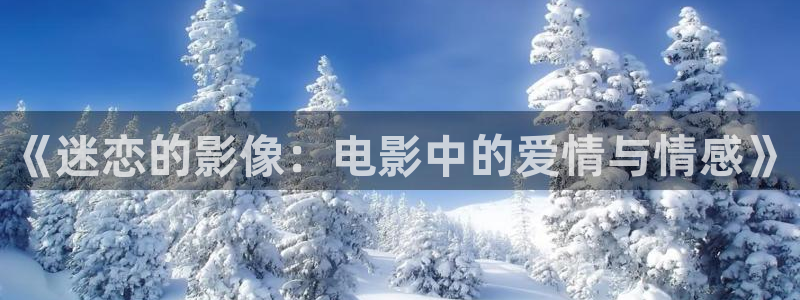 五五影院免费看：《迷恋的影像：电影中的爱情与情感》