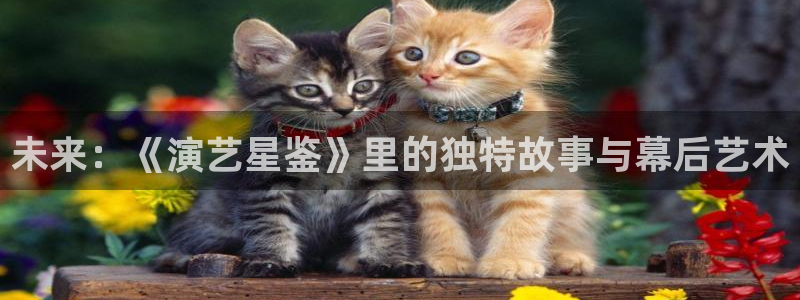 五五影视电影