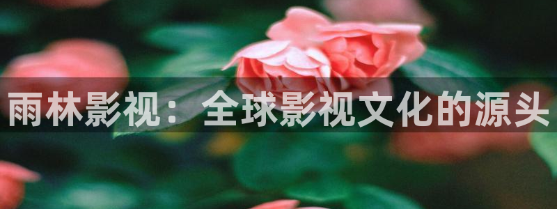 五五婷婷影院