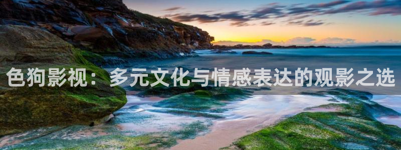 五五电影