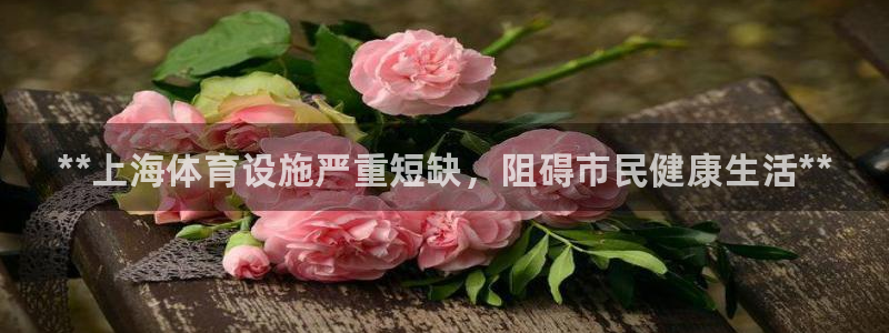 意昂体育3平台注册要钱吗：**上海体育设施严重短缺，阻碍市民