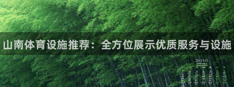 意昂3五金厂：山南体育设施推荐：全方位展示优质服务与