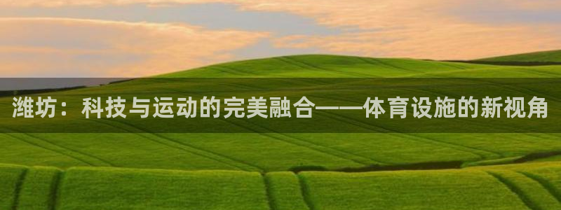 海南意昂体育3发展怎么样：潍坊：科技与运动的完美融合——体育