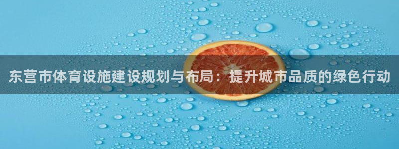 德国意昂3集团：东营市体育设施建设规划与布局：提升城市品质的